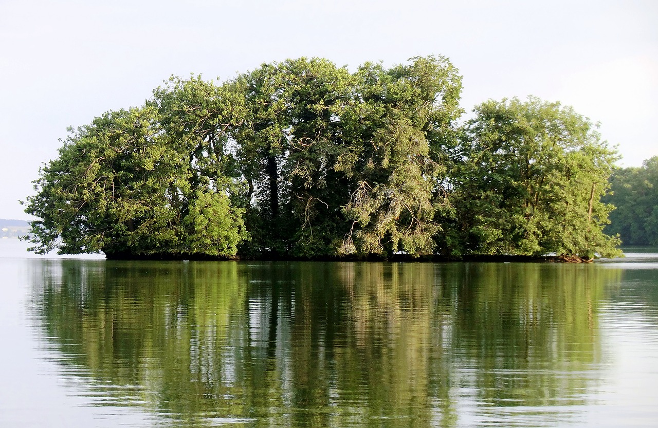 trees lake landscape free photo