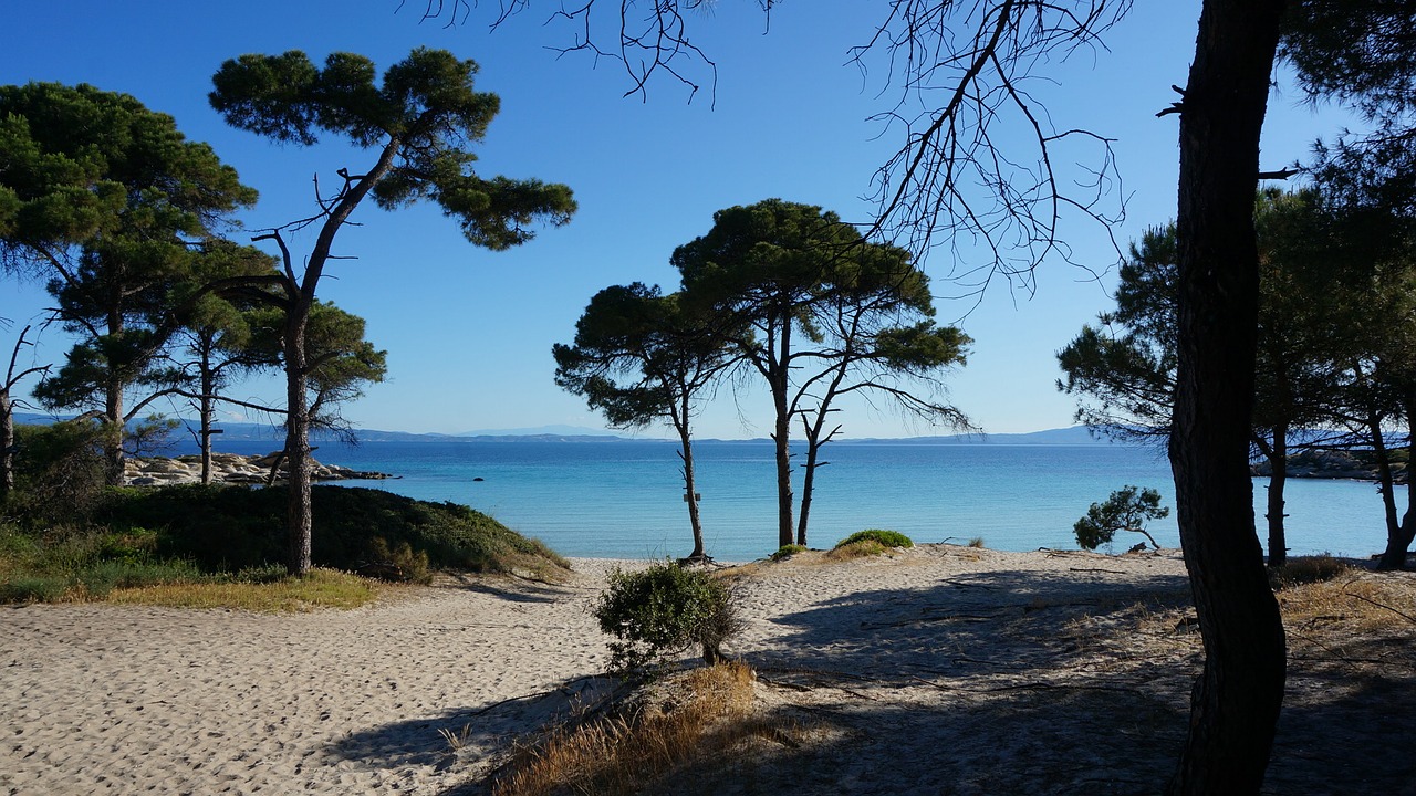 trees beach greece free photo