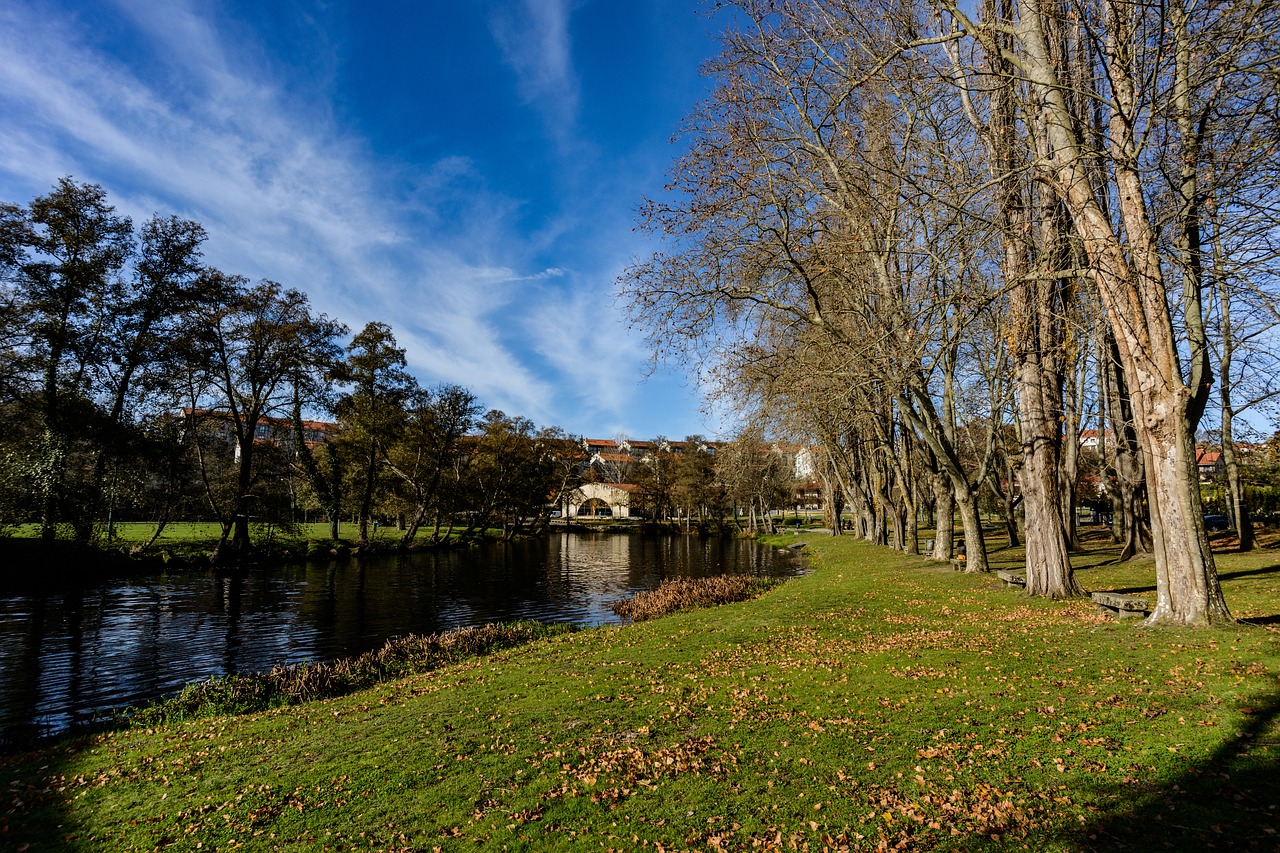 trees river allariz free photo