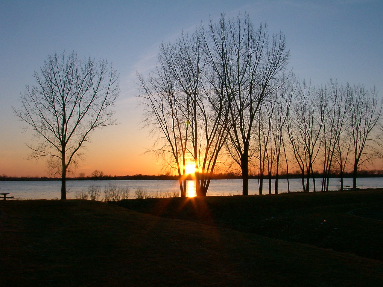 trees sunset evening free photo