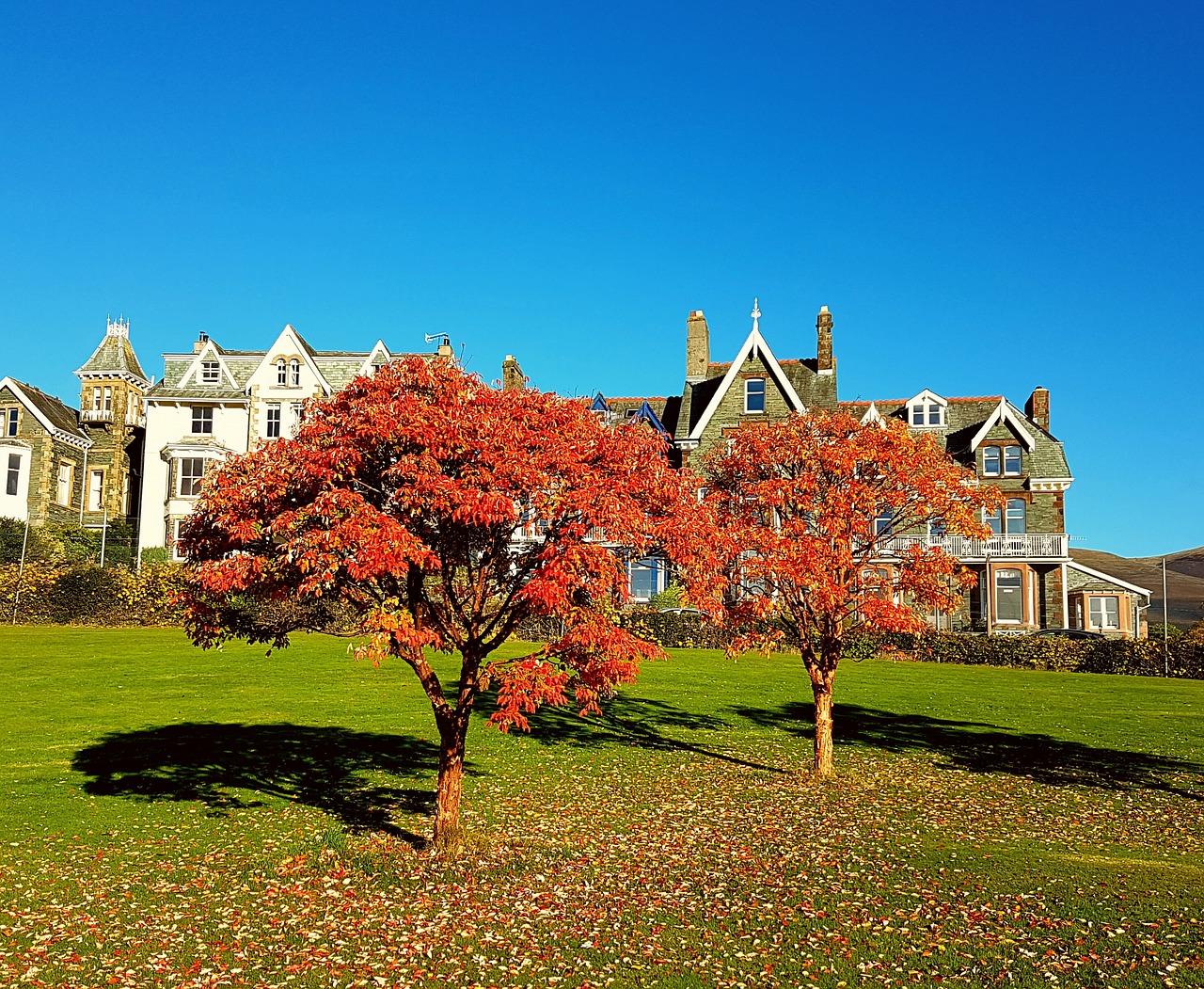 trees autumn season free photo