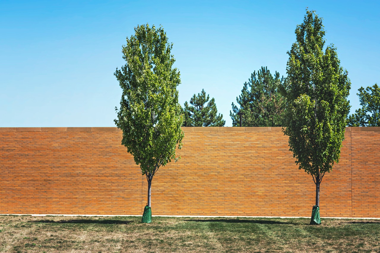 trees brick wall wall free photo