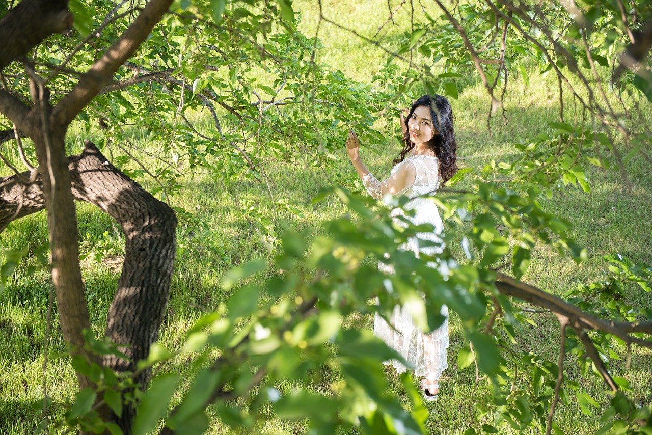 trees jungle green space free photo