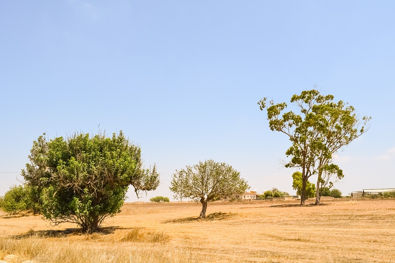 trees meadow landscape free photo