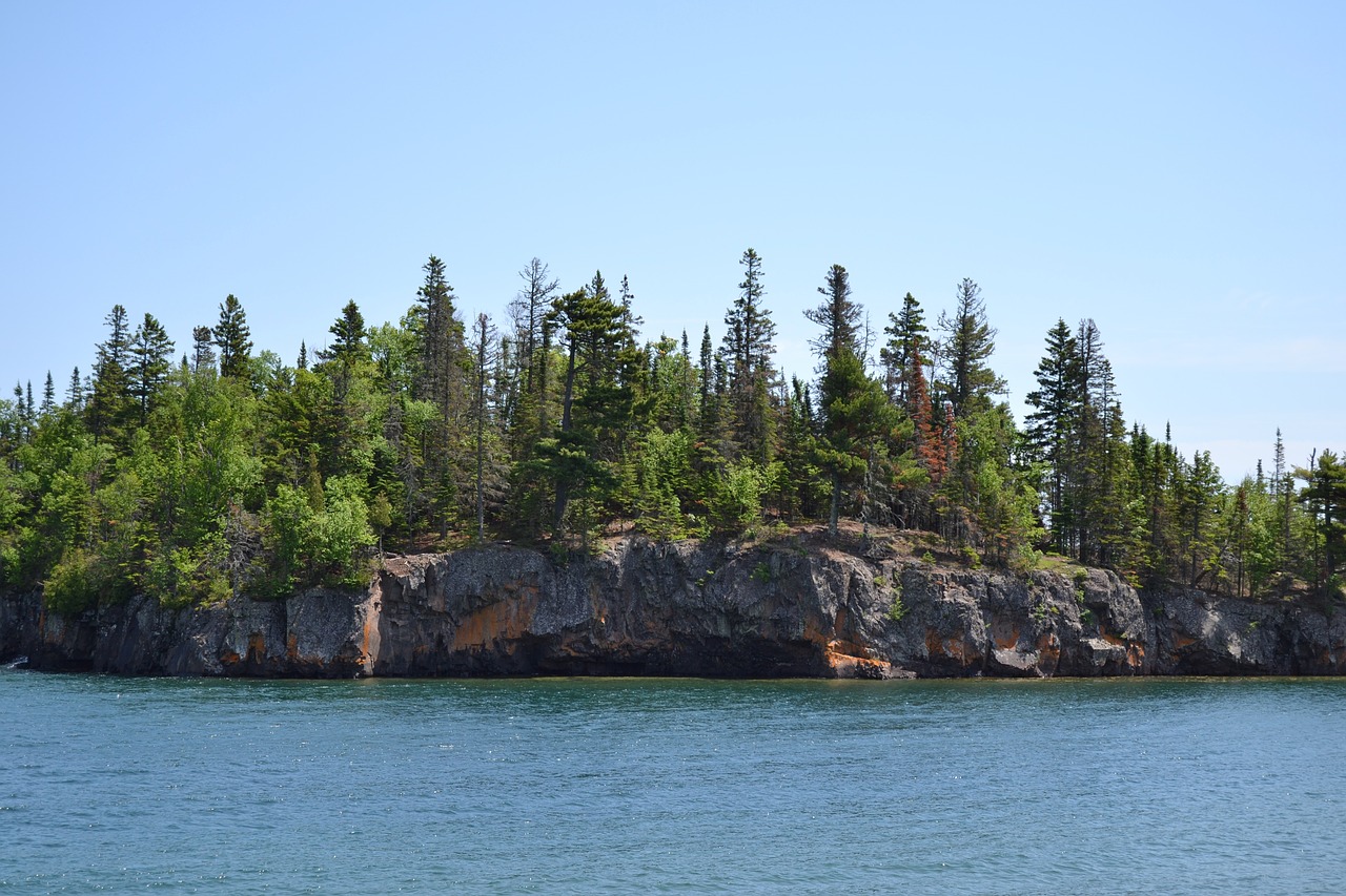 trees water rock free photo