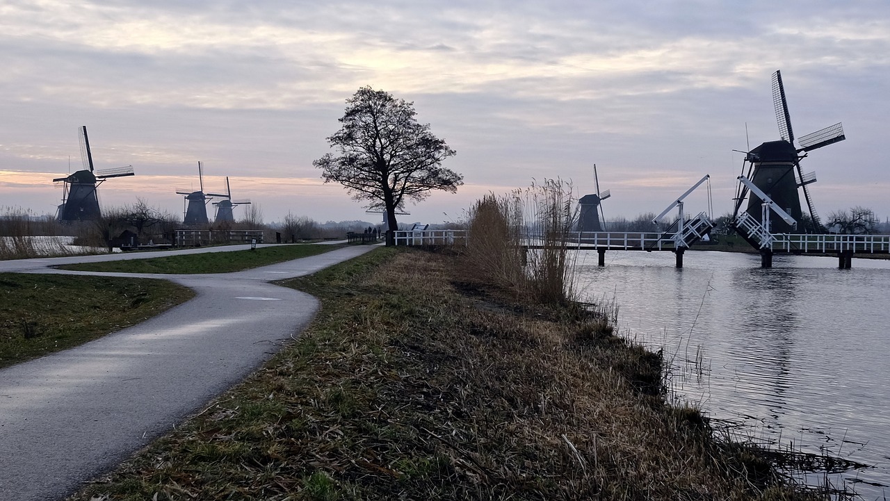 trees road windmill free photo