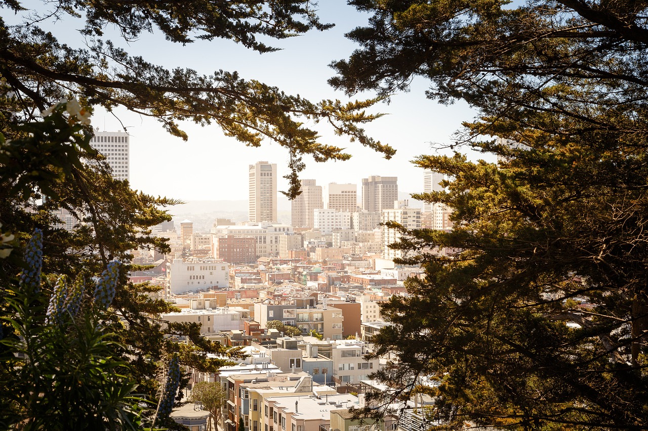 trees buildings architecture free photo