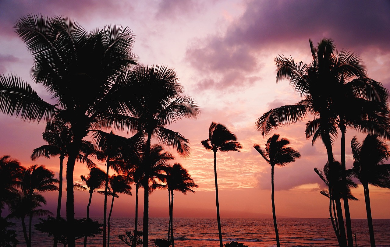 trees beach ocean free photo