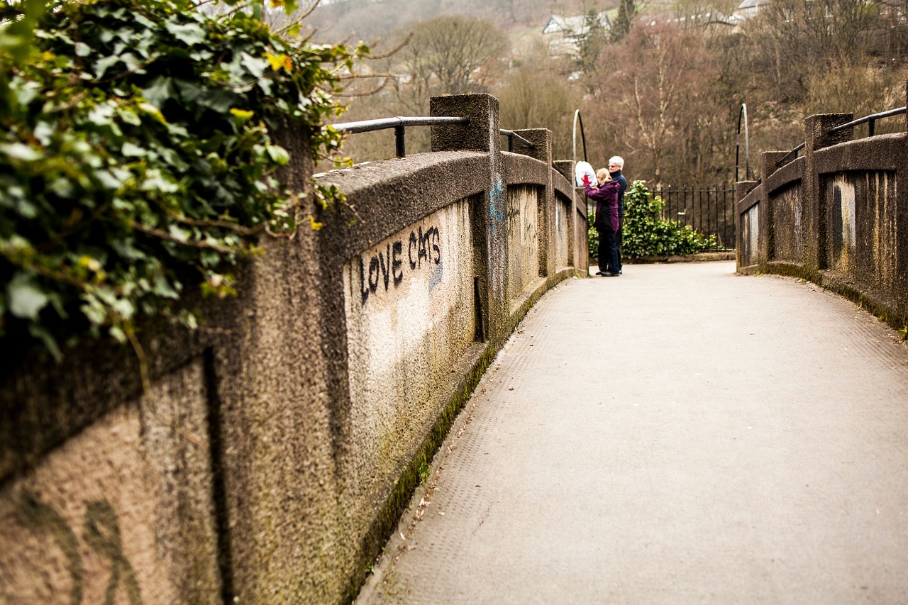 trees plant bridge free photo