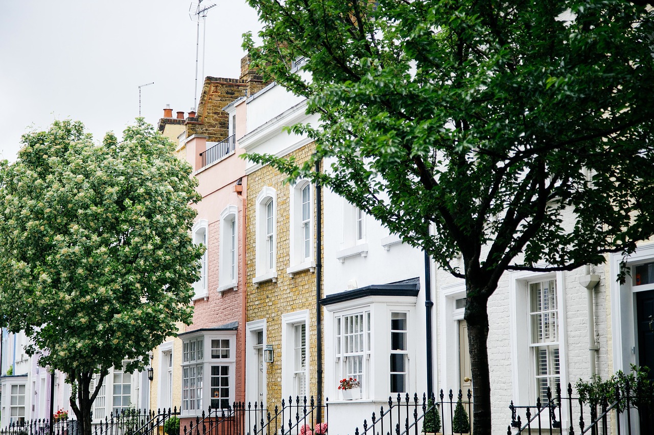 trees houses neighbourhood free photo