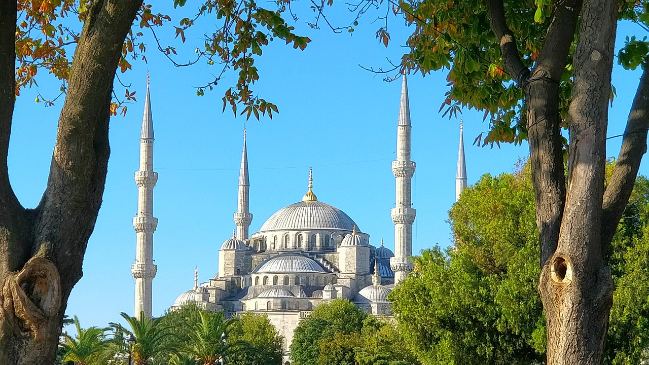 trees mosque green free photo