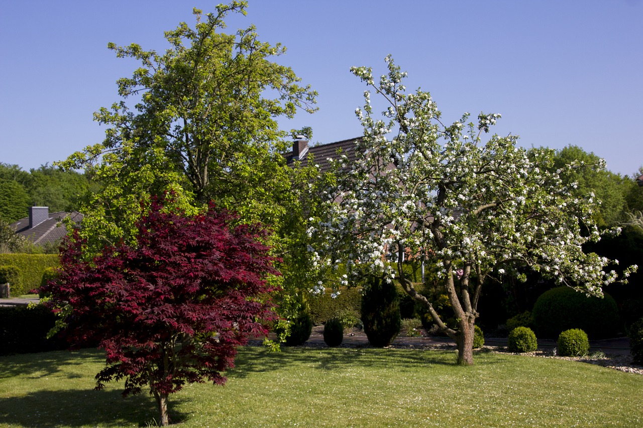 There are trees in the garden