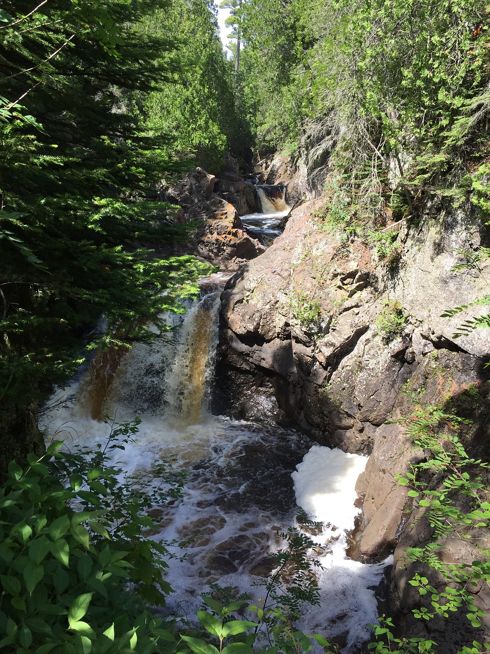 trees  waterfall  canyon free photo