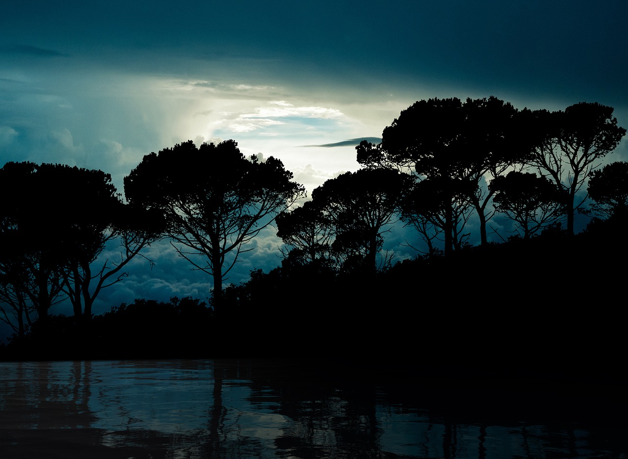 trees  clouds  reflection free photo