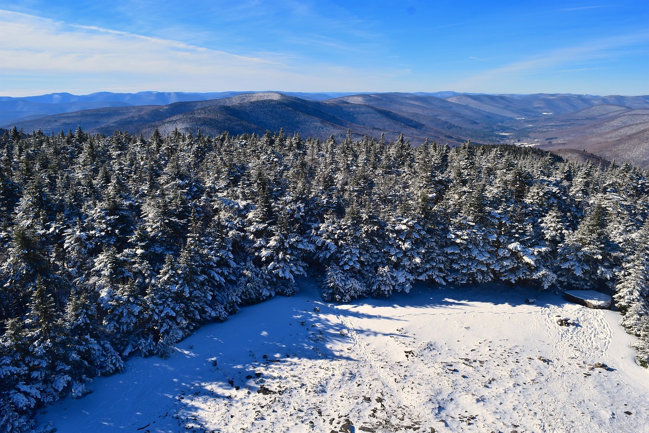 trees  mountains  landscape free photo