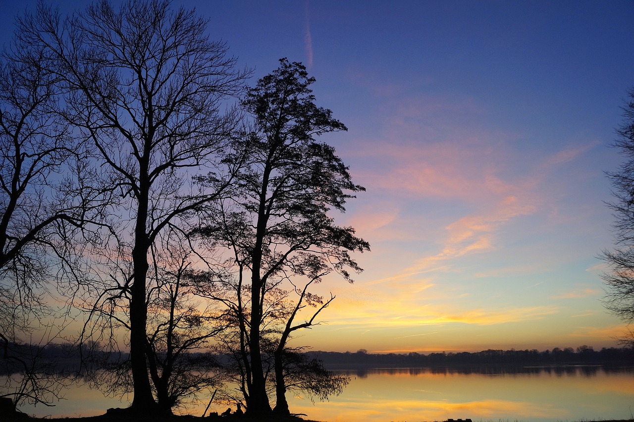 trees  evening sky  sunset free photo