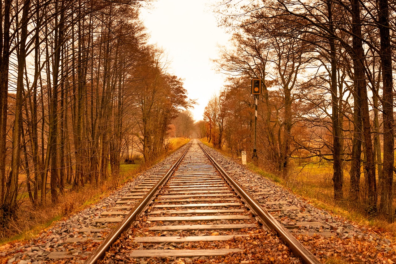 trees  autumn  railway free photo