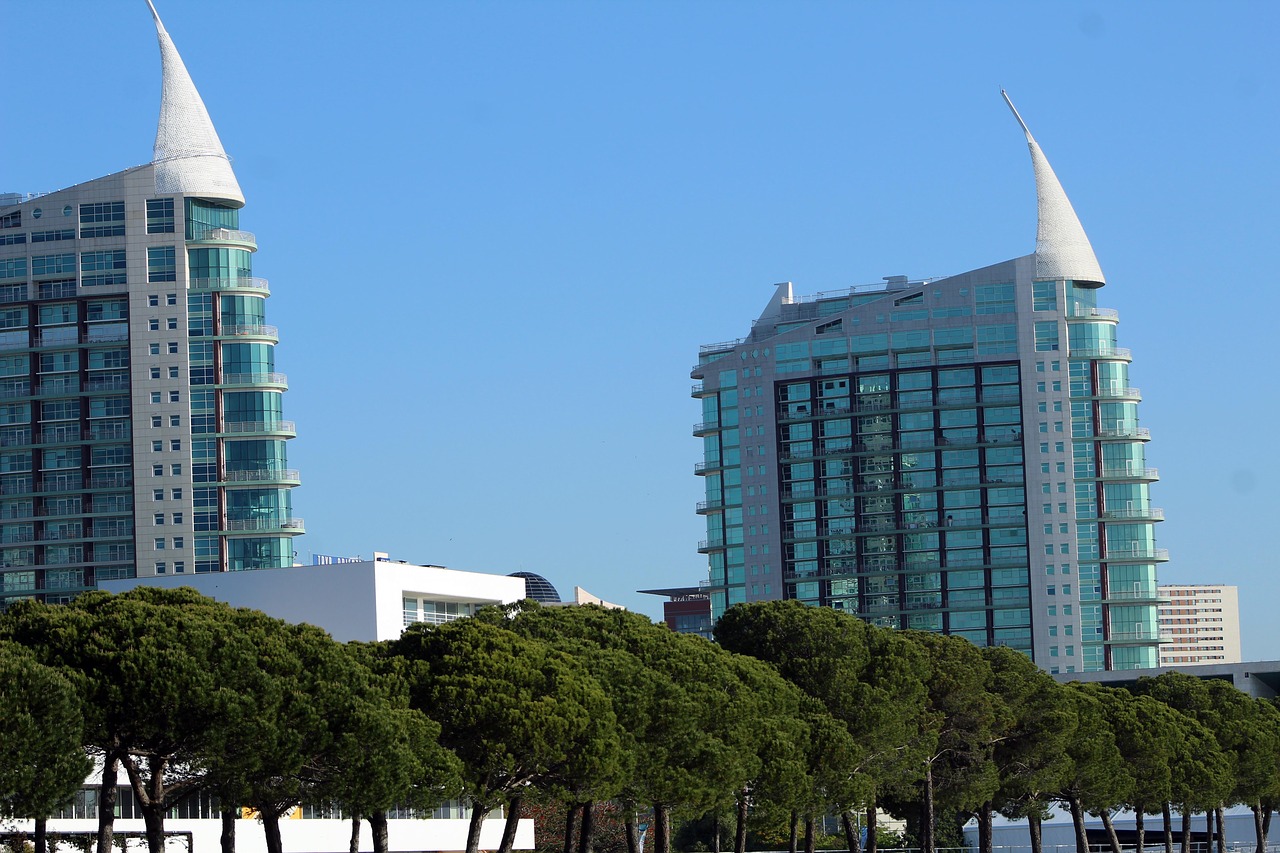 trees  lisbon  portugal free photo