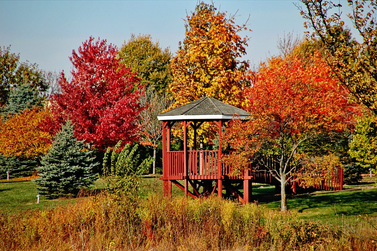 trees  gazebo  fall free photo