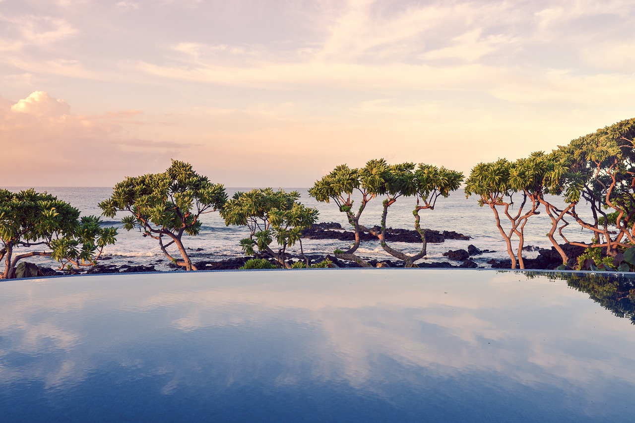 trees swimming pool ocean free photo