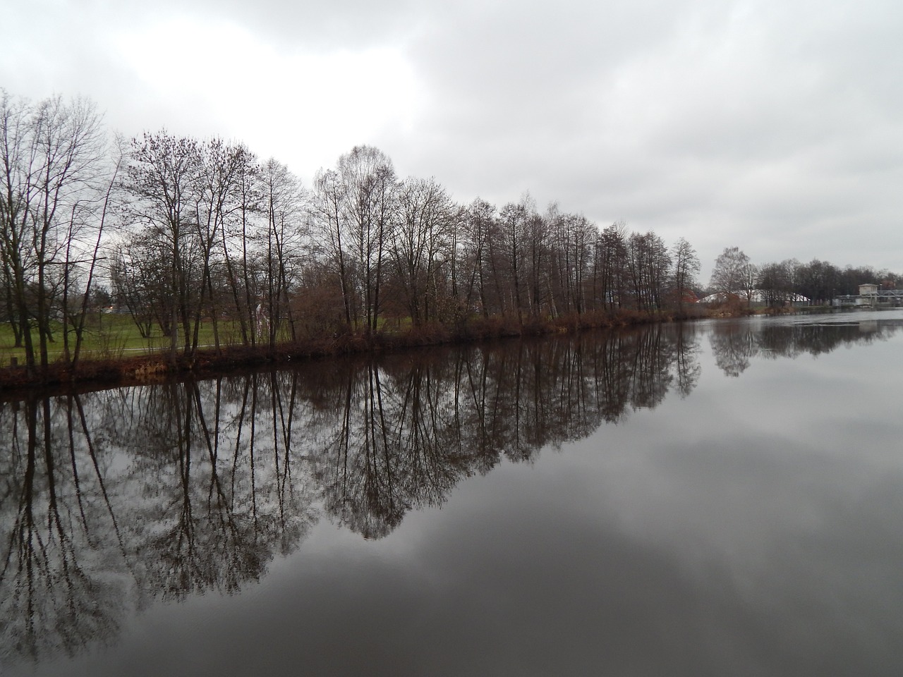 trees mirror river free photo