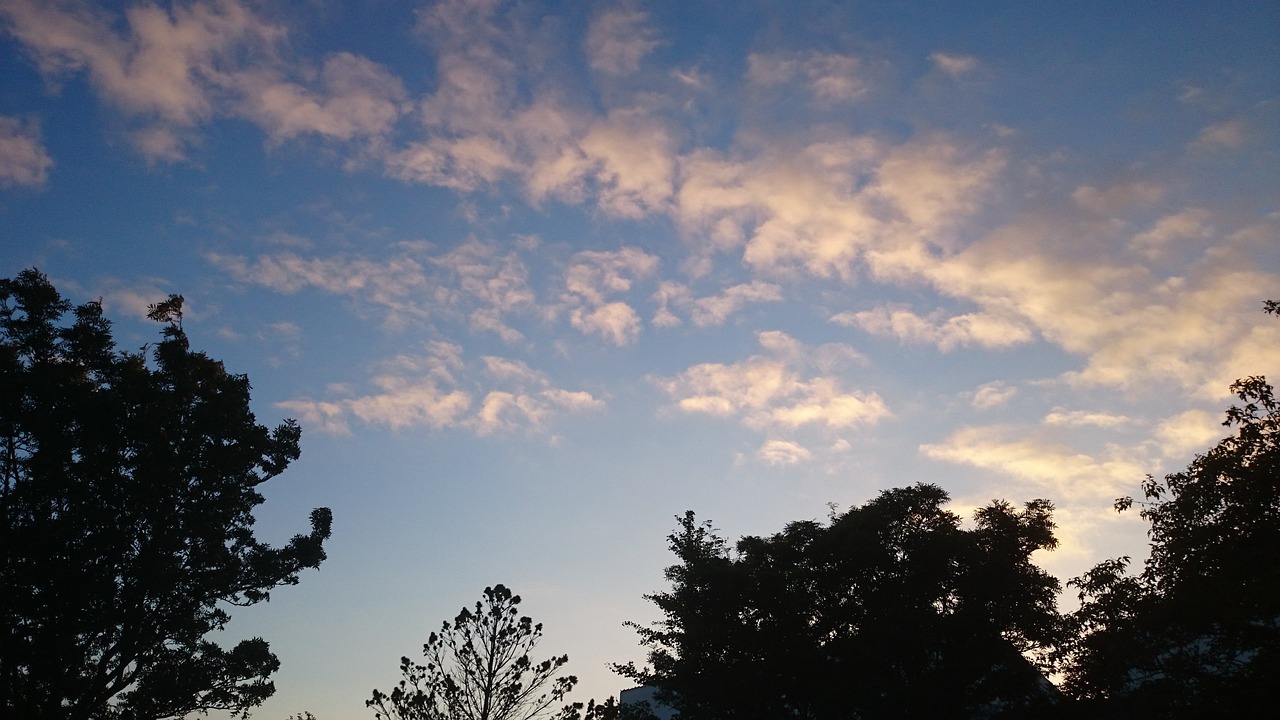 trees clouds blue sky free photo