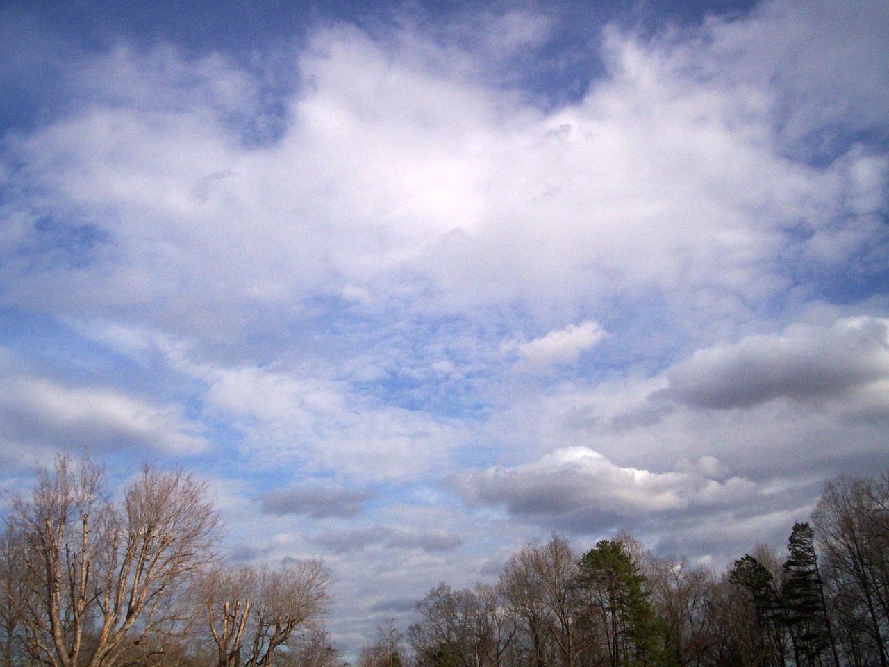 trees clouds sky free photo