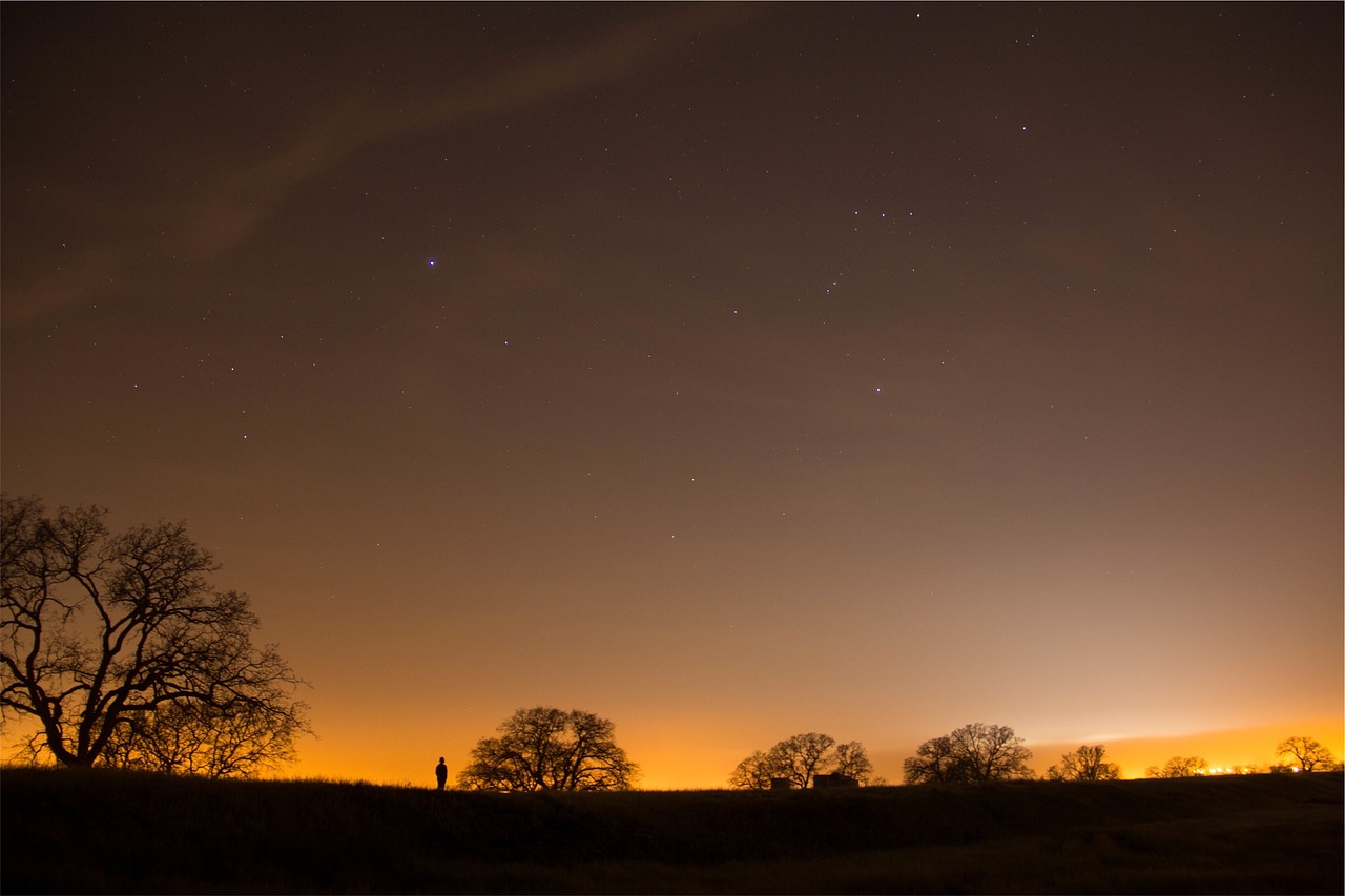 trees silhouette night free photo