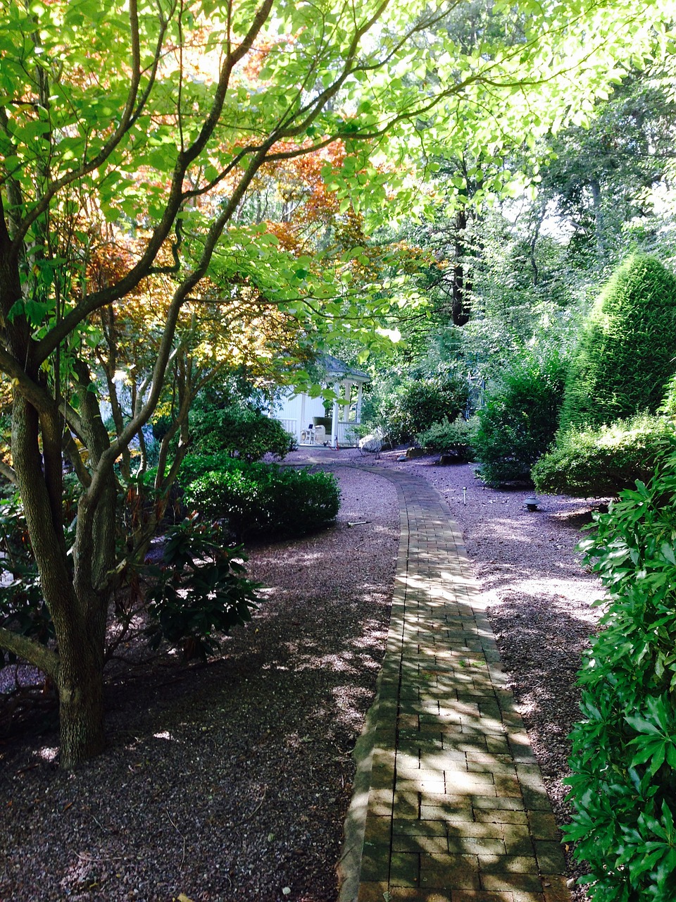 trees landscape path free photo