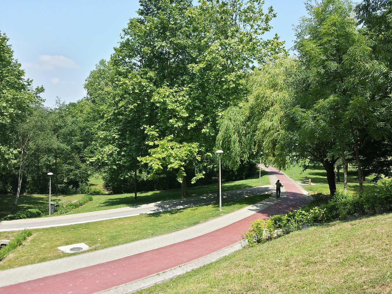 trees path nature free photo