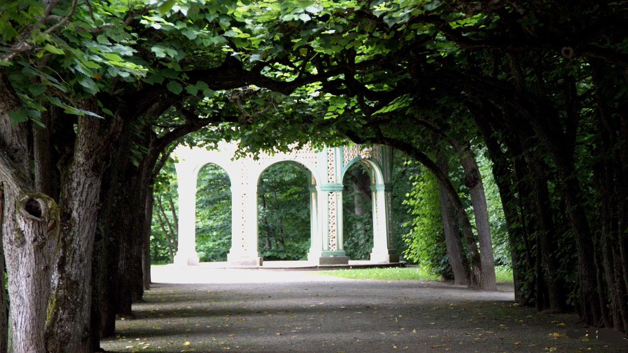 trees green nature free photo