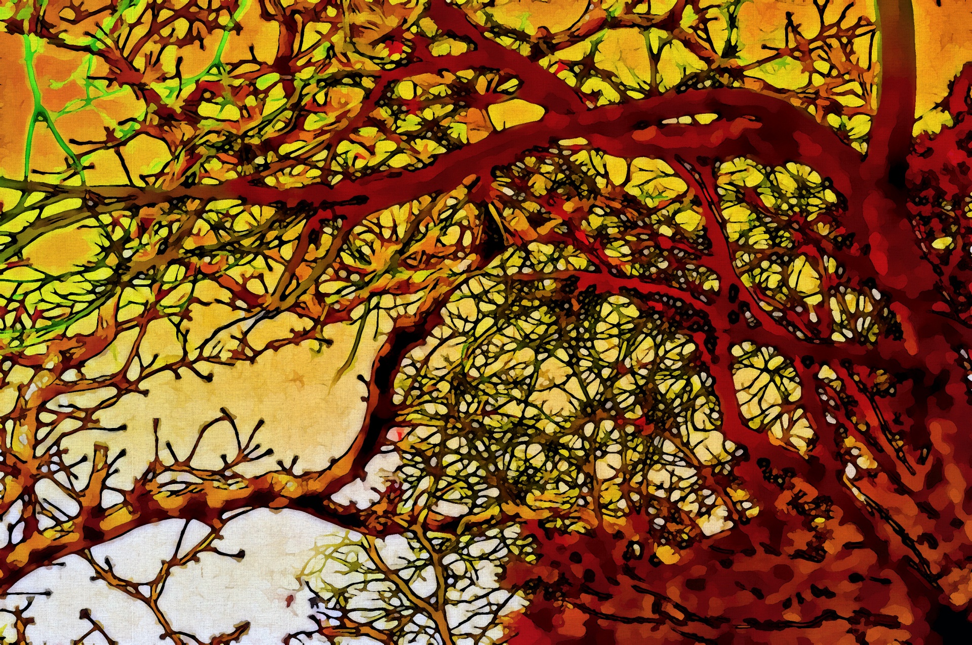 trees foliage artistic free photo