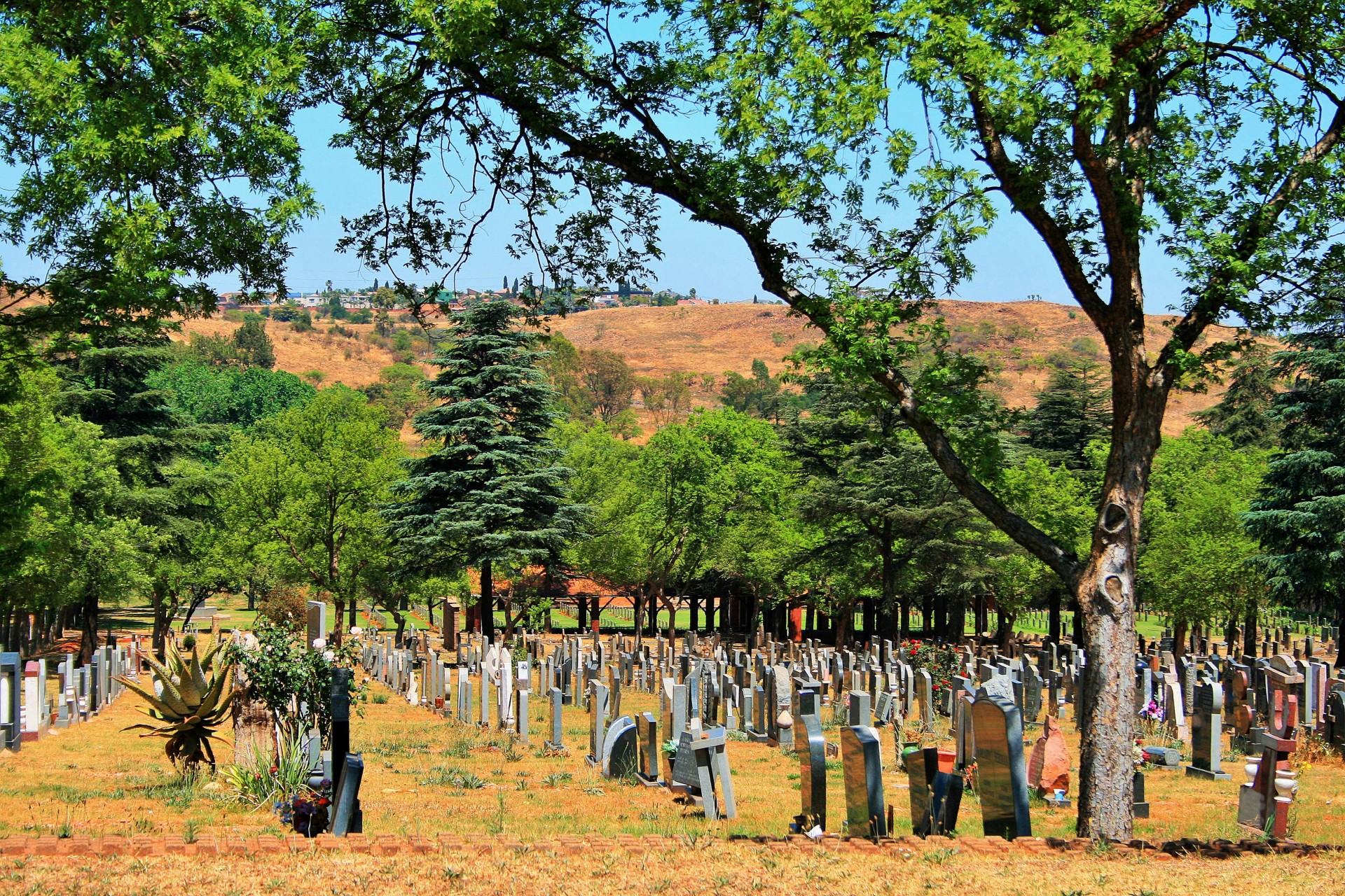 graveyard graves tombstones free photo