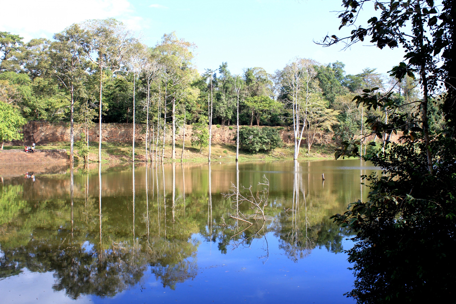 trees lake reflection trees lake reflection free photo