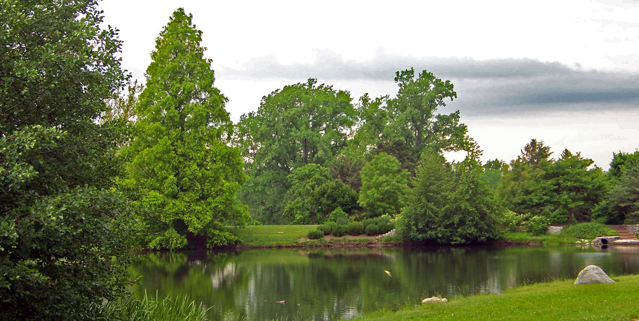 trees pond park free photo