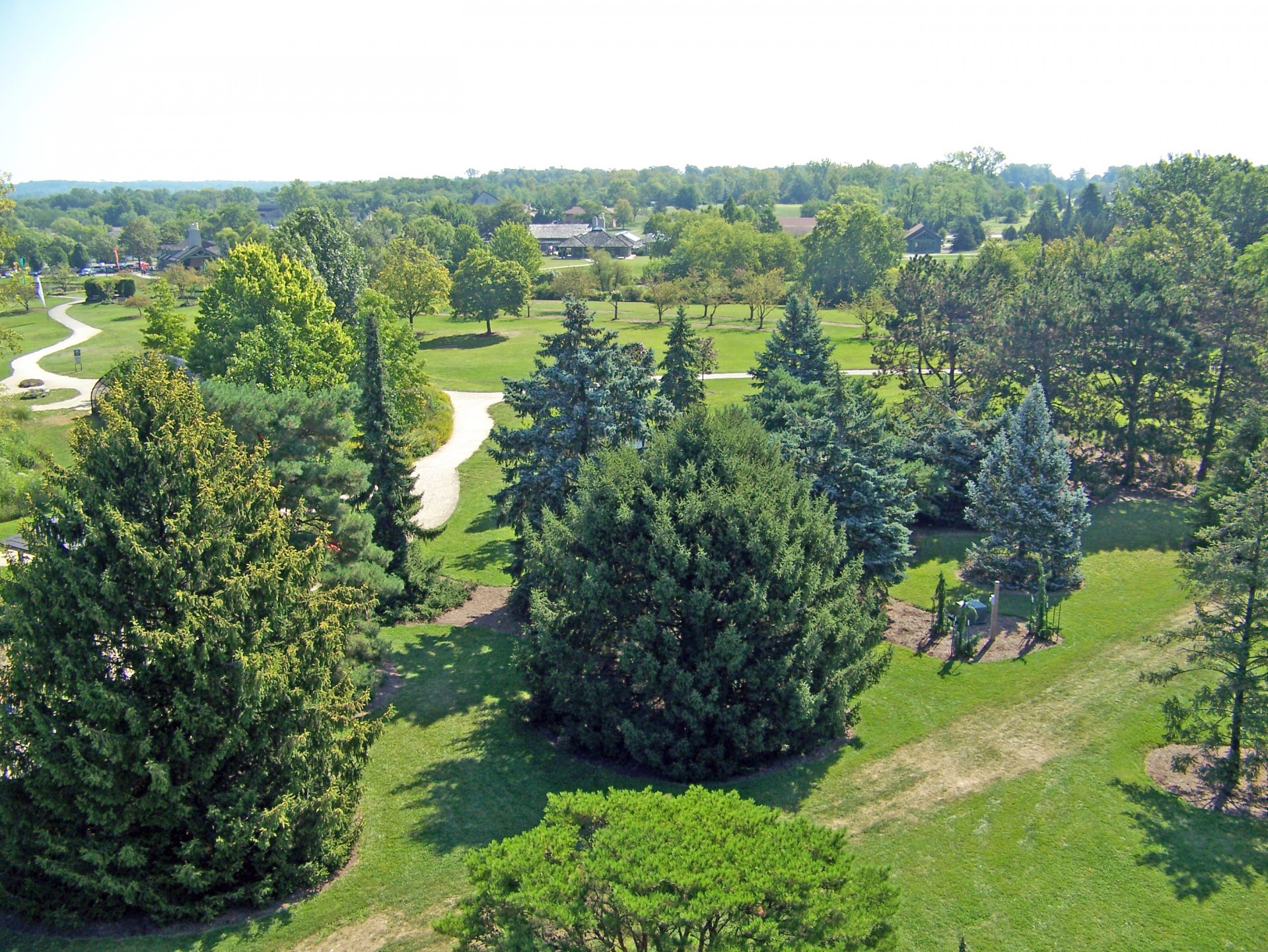 trees park summer free photo