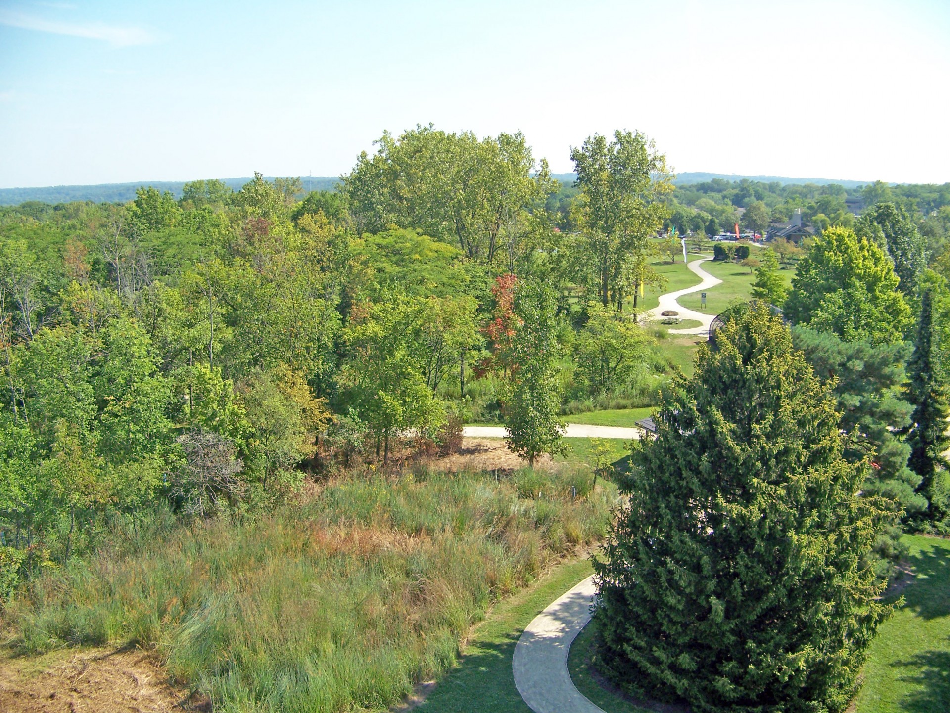 trees park summer free photo