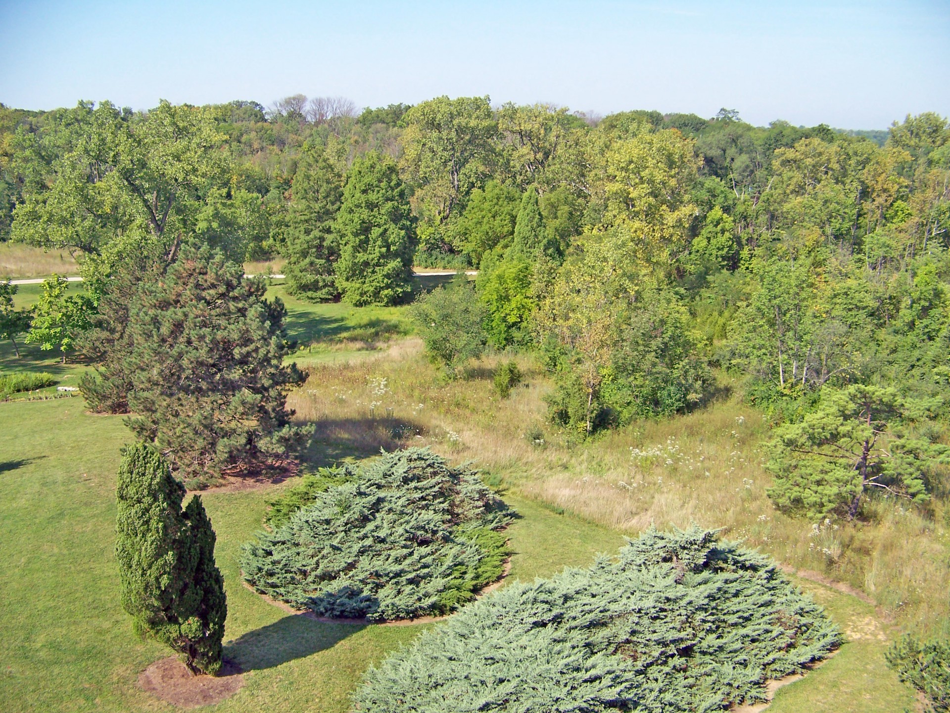 trees park summer free photo