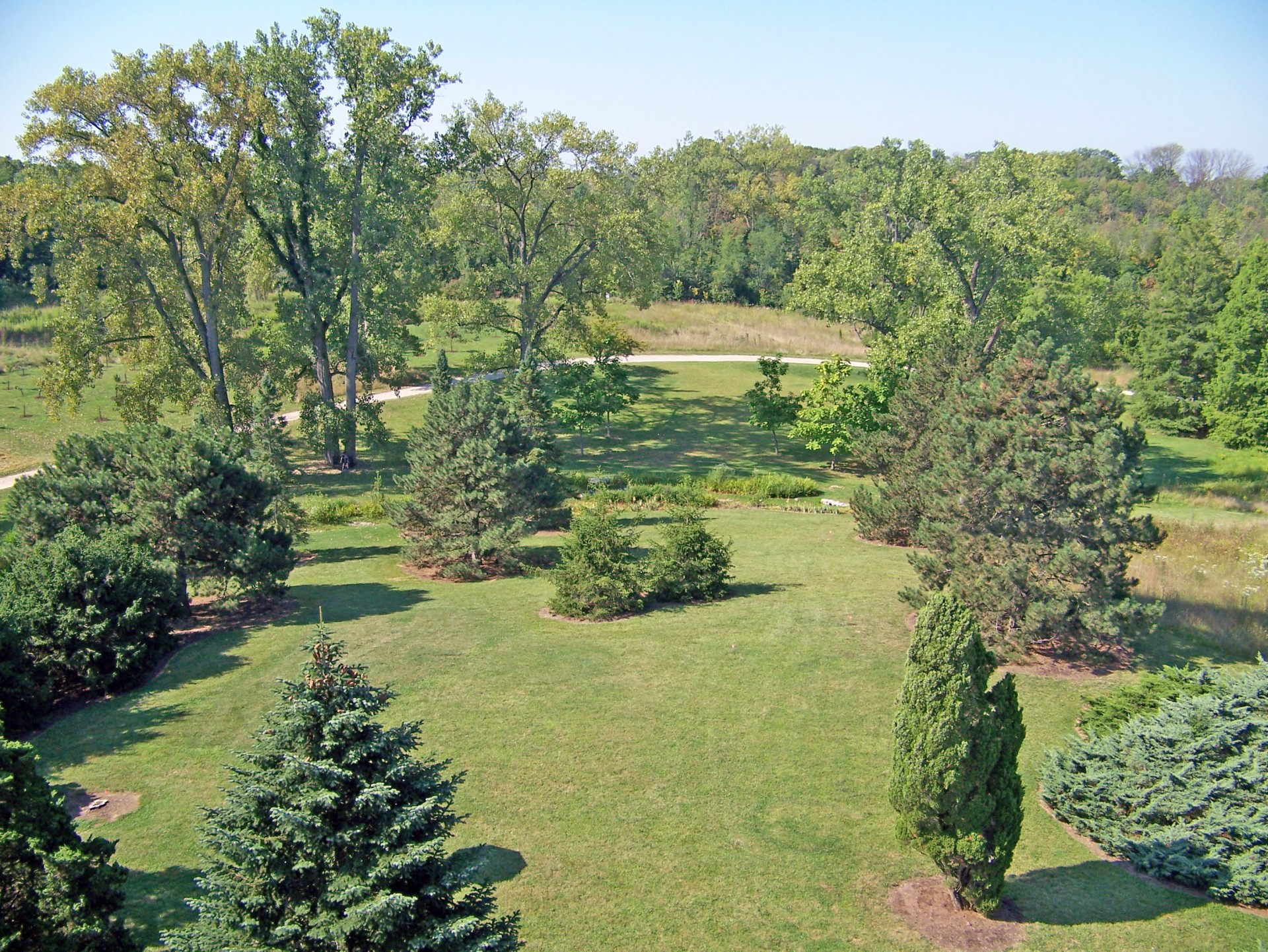 trees park summer free photo