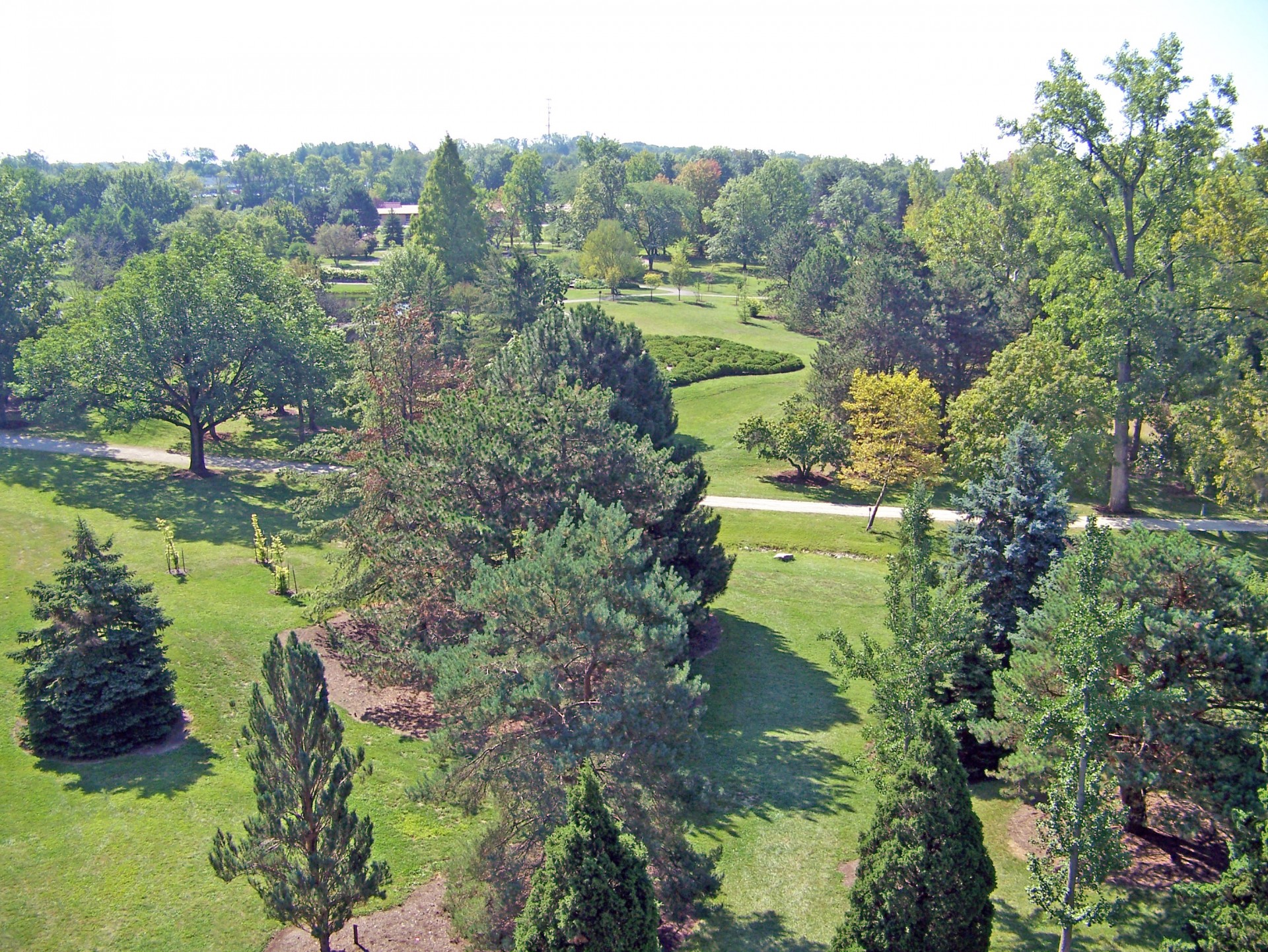 trees park summer free photo