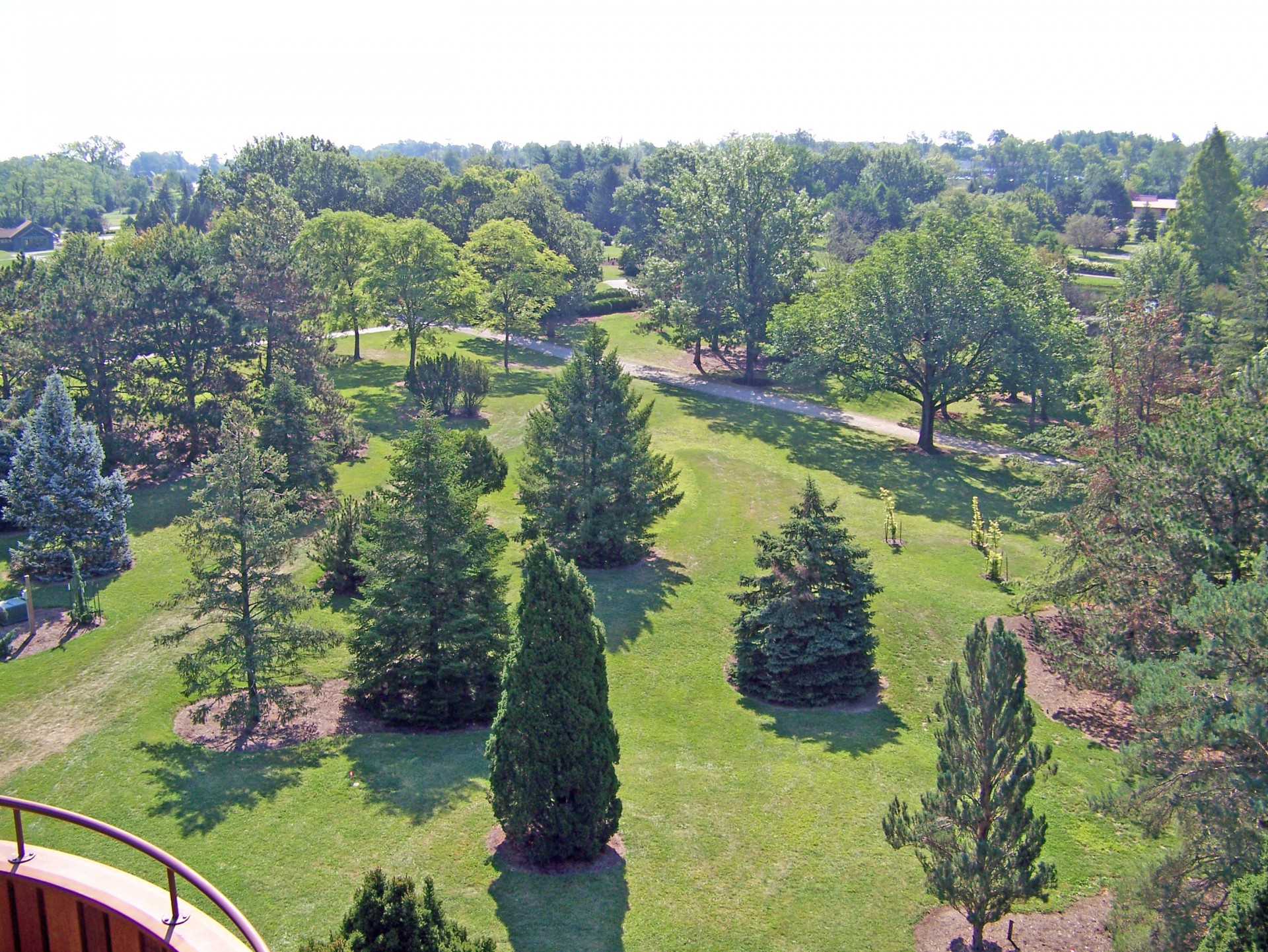 trees park summer free photo