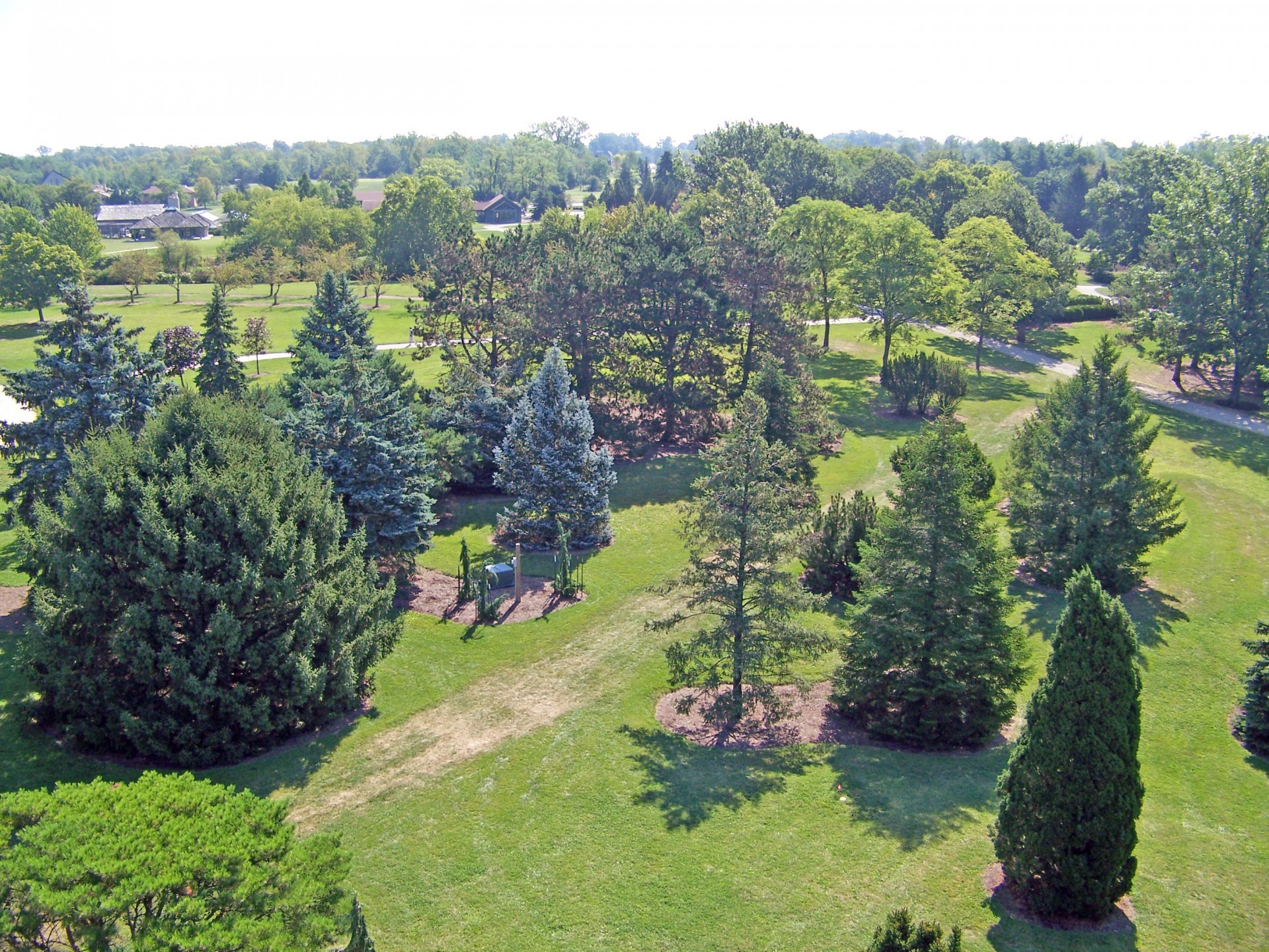 trees park summer free photo