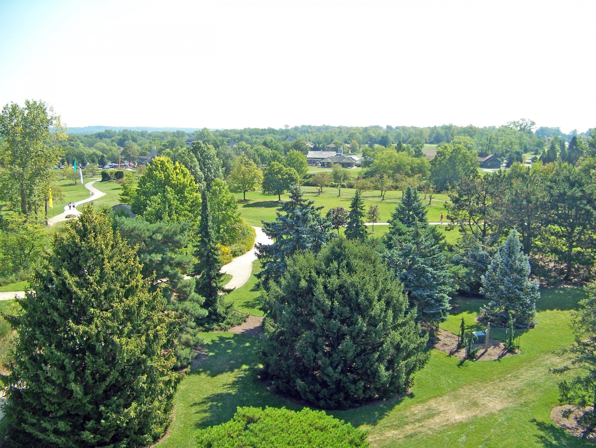 trees park summer free photo