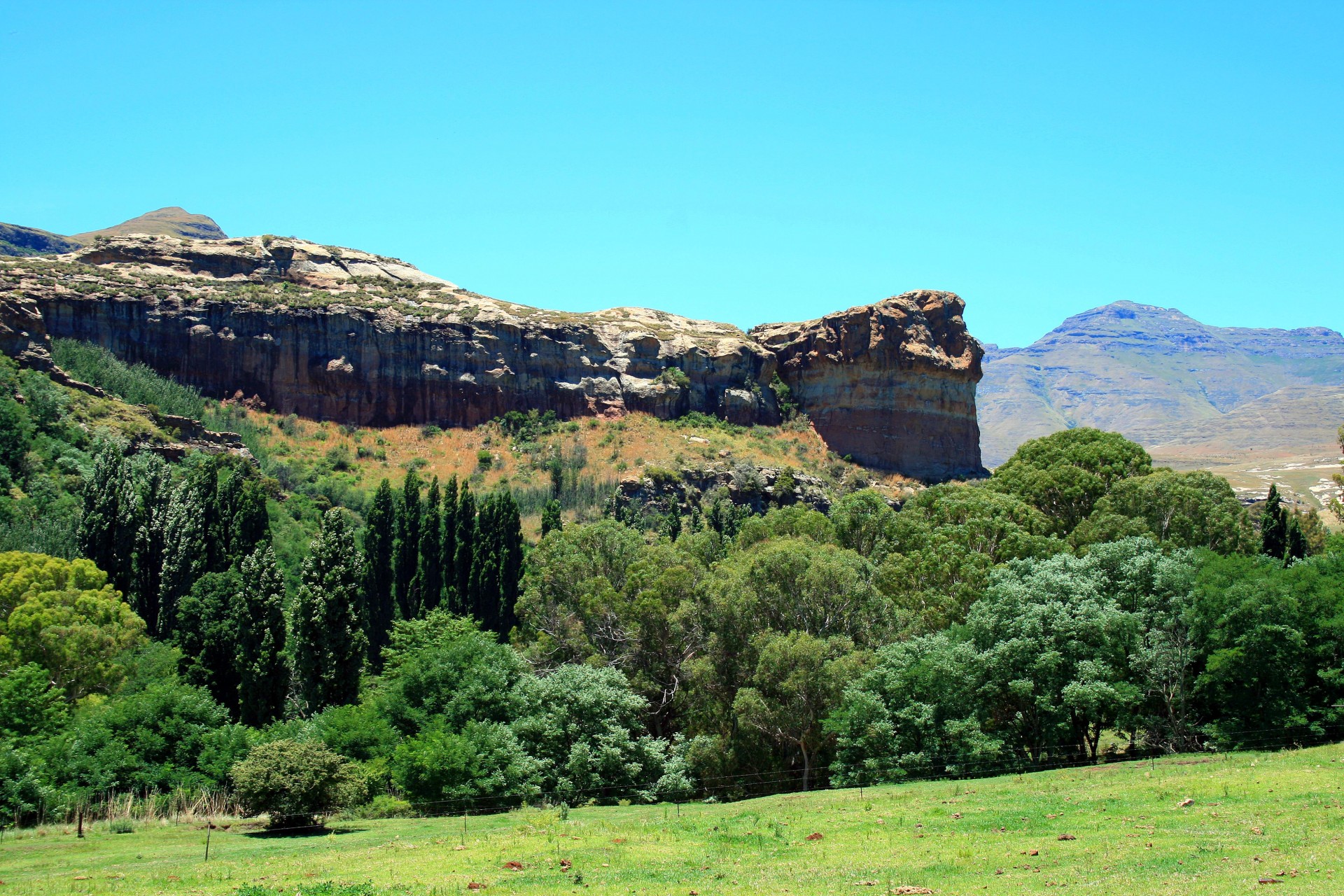 mountain landscape eastern free state trees under sandstone cliffs free photo