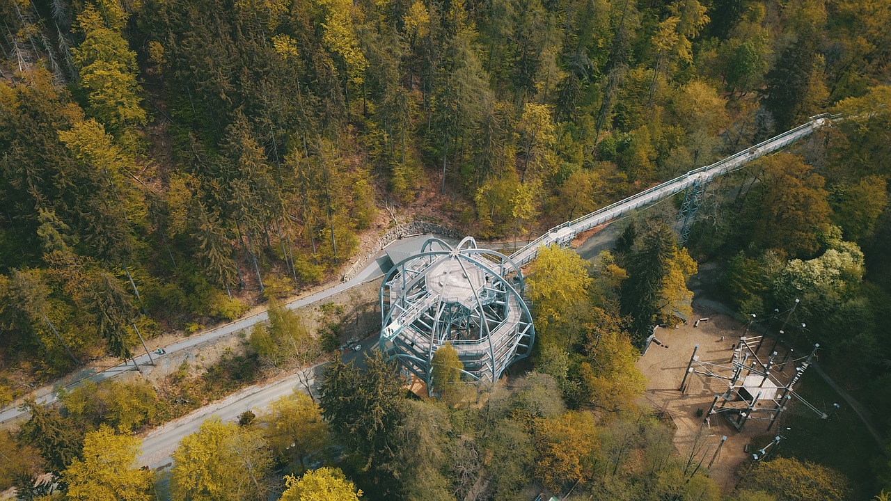 treetop path  bad harzburg  resin free photo