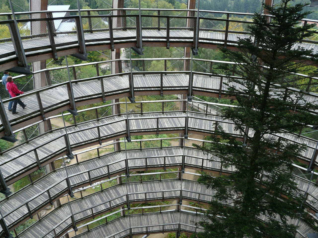 treetop path web boardwalk free photo