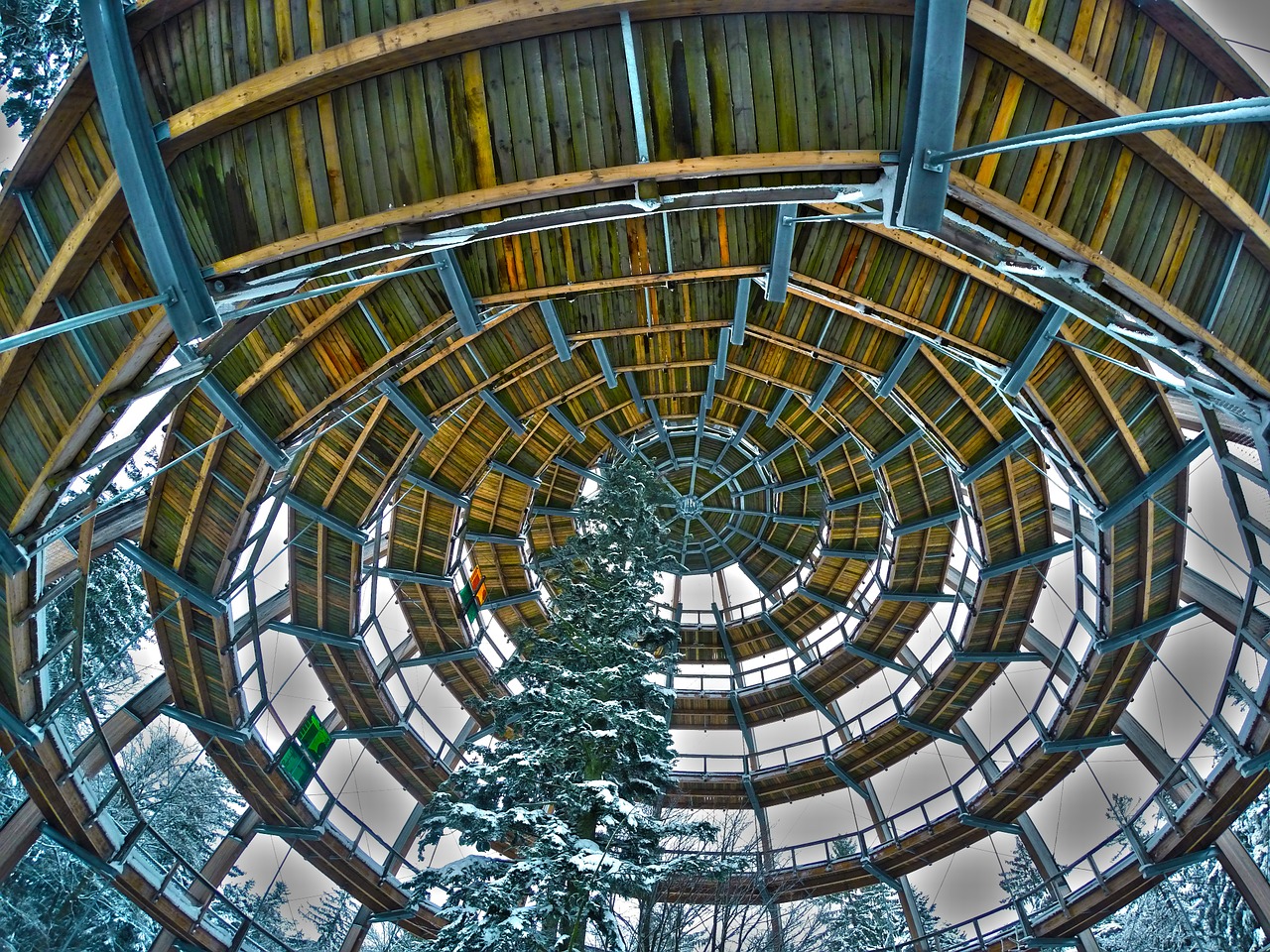 treetop path boardwalk winter free photo