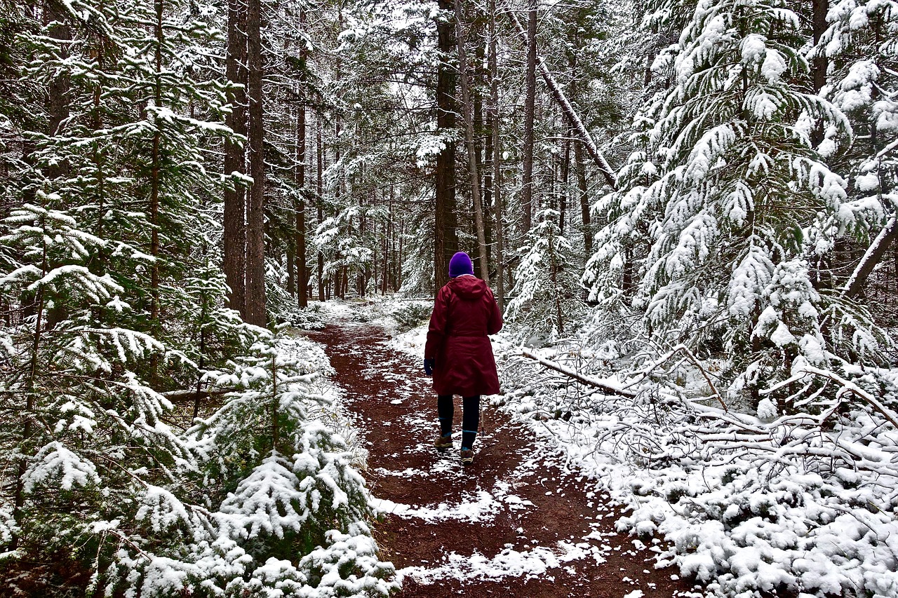 trekking winter walking free photo