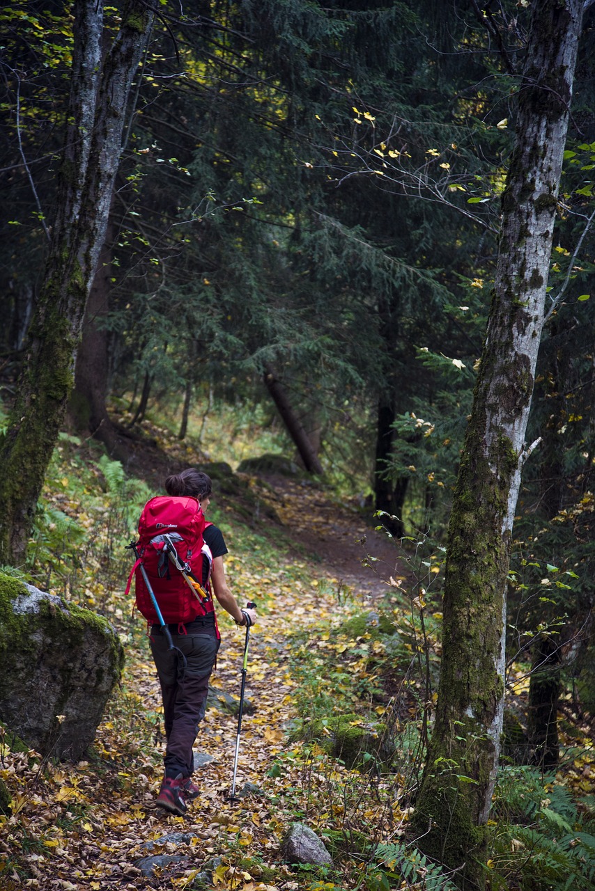 trekking sports mountain free photo