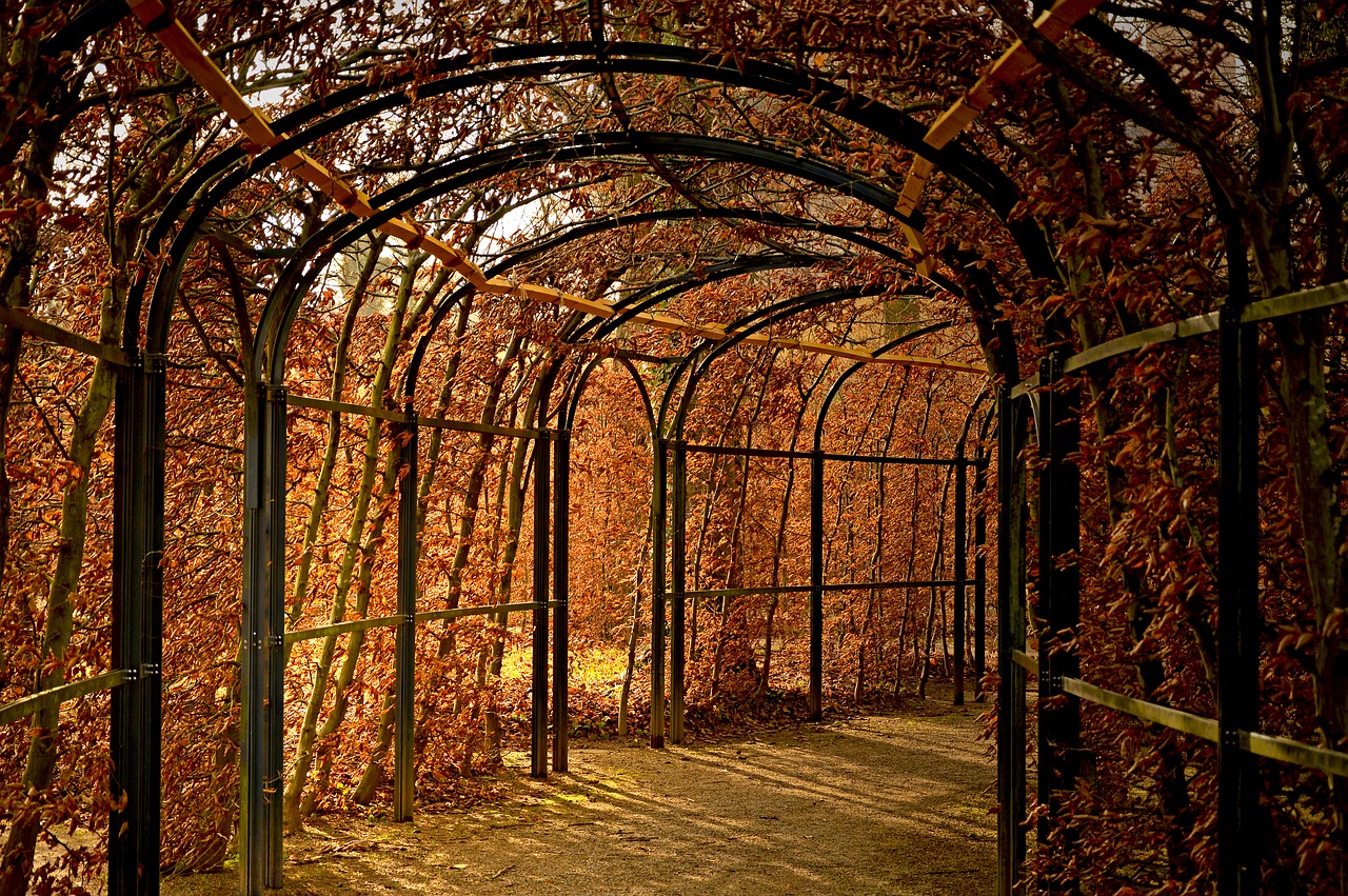 trellis  hedge  arches free photo